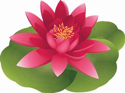 Lily Clipart Flower Water Pad Clip Lotus