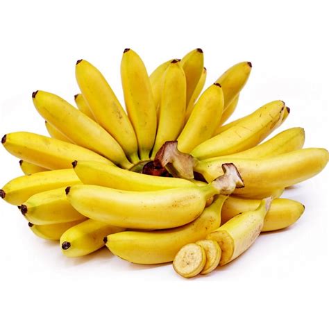 Wild Banana Seeds Musa Balbisiana Ár €325