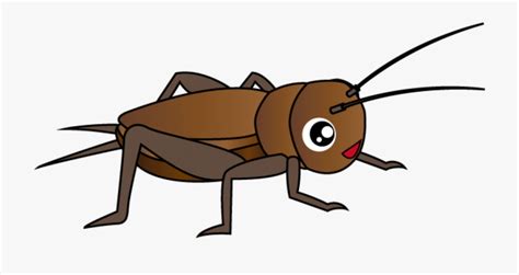 Cricket Clipart Cricket Bug Cricket Cricket Bug Transparent Free For