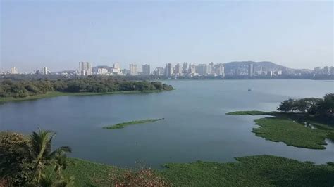7 Amazing Things To Do And See At Powai Lake Mumbai Guide