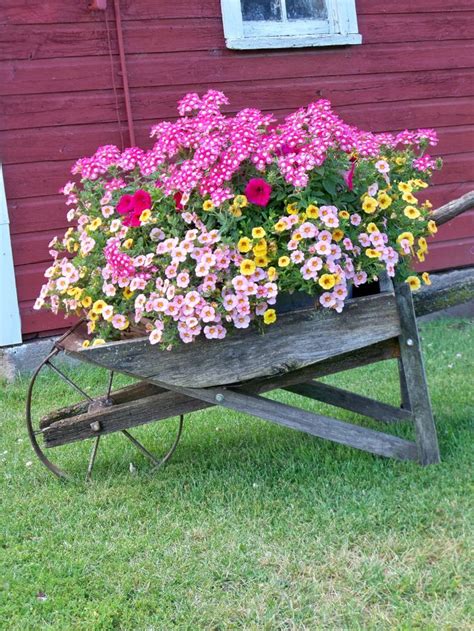 Wheelbarrow With Flowers Old Wheelbarrows Pinterest