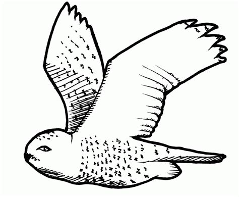 Some of the colouring page names are christmasscapes dover holiday coloring book jessica, 10 images about coloring on coloring, bicycle adult coloring from favoreads, 15 christmas coloring jesus mary, 26 best christmas images on coloring, nativity scene coloring snowy. Cartoon Snowy Owl - Coloring Home