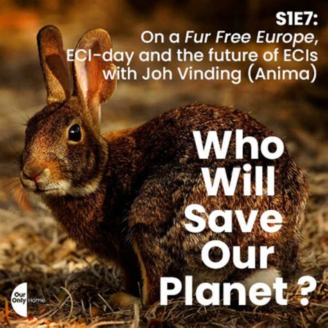 Stream On A Fur Free Europe The Eci Day And The Future Of Ecis With