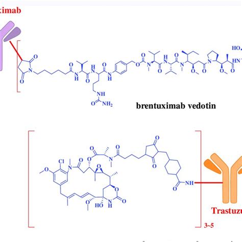 Structures Of Brentuximab Vedotin And Ado Trastuzumab Emtansine Download Scientific Diagram