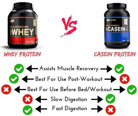 casein vs whey protein which one is better for you hot sex picture