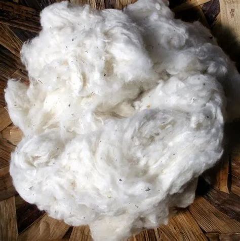 Raw Cotton Cotton Raw Material Vashisht Agri Products Faridabad