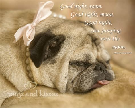 Quotes About Pugs Quotesgram