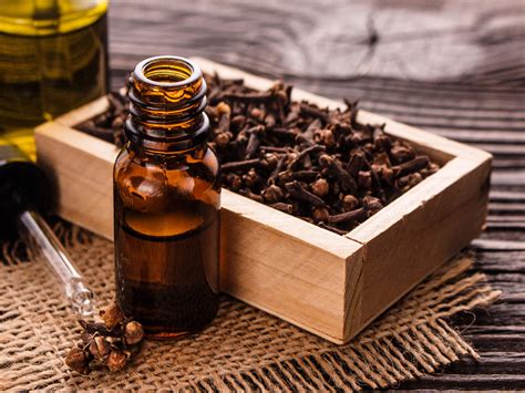Heres How Clove Oil Is Beneficial For Your Skin Times Of India