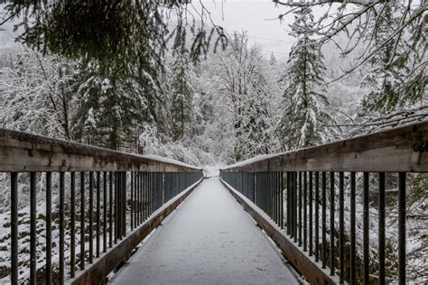 Snow Covered Bridge Emerges For The Trees Stock Photo Image Of Forest