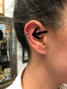 The state and county i live. Ear Piercing Chart - Ear Piercing Types and Ear Piercing ...