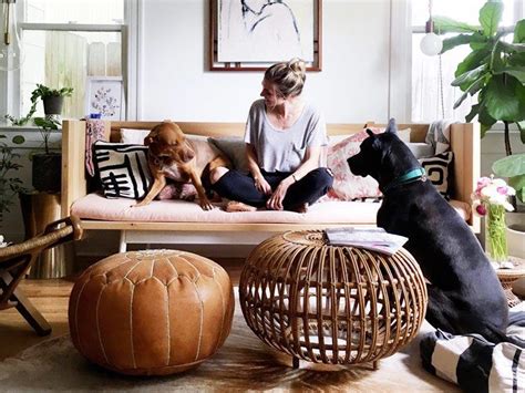 Designers Dish On Pet Friendly Decorating Ideas And Solutions Room