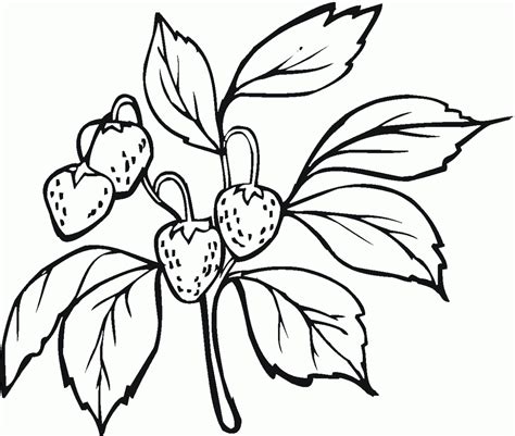 Planta con tres fresas para imprimir y colorear mientras tus hijos aprenden los nombres de las frutas. FRESAS PARA ILUMINAR - Imagui