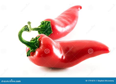 Red Hot Peppers Stock Image Image Of Jalapeno Fresh 1791875