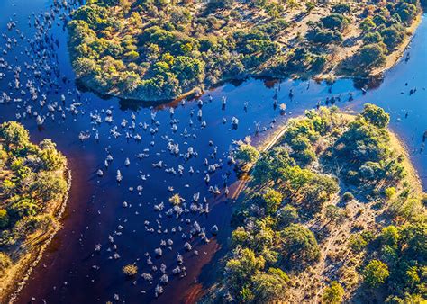 Botswana, ein land der gegensätze: Safaris und andere Abenteuer beim Urlaub in Botswana ...