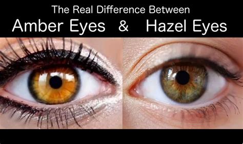 The Real Difference Between Amber Eyes And Hazel Eyes Hazel Eyes