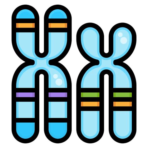 Chromosome Ddara Lineal Color Icon