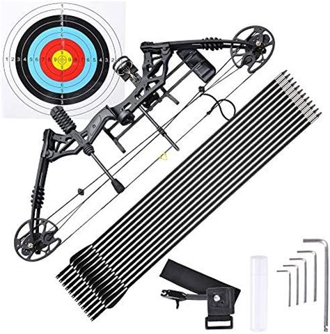 AW Compound Bow Kit 70 Lbs Draw Weight For Adult Professional Hunting