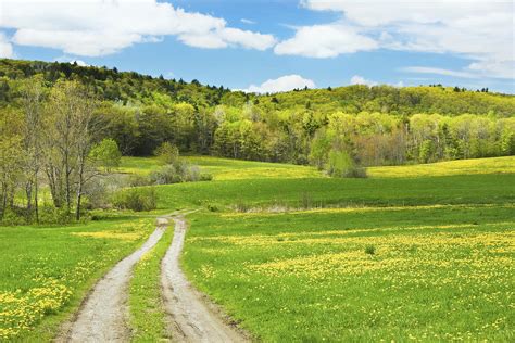 Spring Farm Landscape With Dirt Road In Maine Photograph
