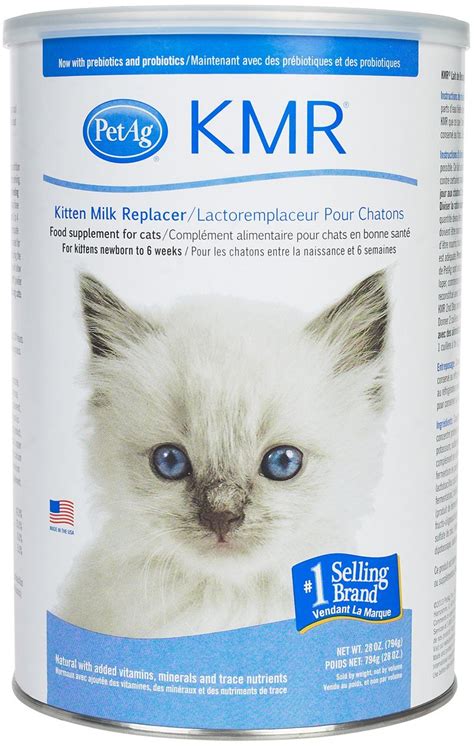 Kitten Formula Feeding