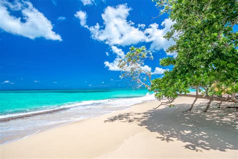 Best Things To Do In The Dominican Republic Isle Blue