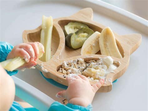 Se Puede Hacer Baby Led Weaning Con Triturados BLW Mixto