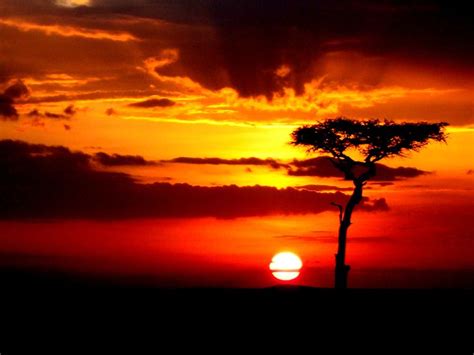 A Trip To The Maasai Mara African Sunrise Best Sunset Sunset