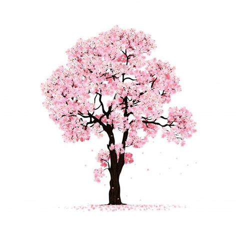 Premium Vector Blossoming Pink Sakura Tree Isolated Cherry Blossom