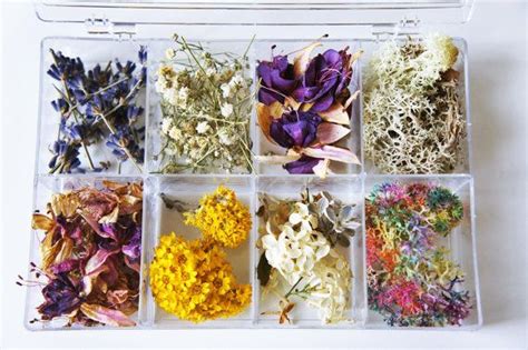 Lavender flower is a favorite for its sweet. SALE dried tiny flowers dried lavender buds by NaturalRuby ...