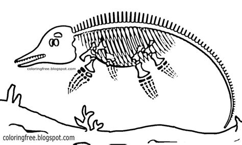 Sea Dinosaur Drawing For Children Ocean Coloring Pages