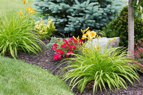 Are Perennial Beds Maintenance Free Trimmers Landscaping Inc