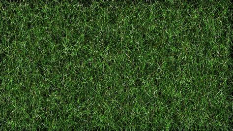 Hd Wallpaper Photo Of Green Turf Grass Football Lawn Background