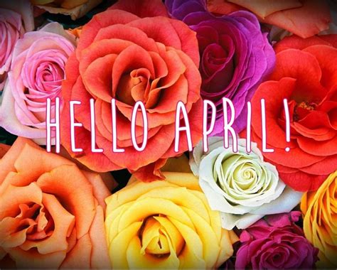 Hello April Wallpaper Hello April April Flowers Flower Images
