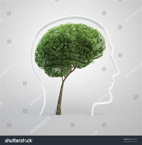 The green tree frog was imported onto ships to the united states and new zealand. Tree Shaped Like A Human Brain Inside A Head Silhouette ...