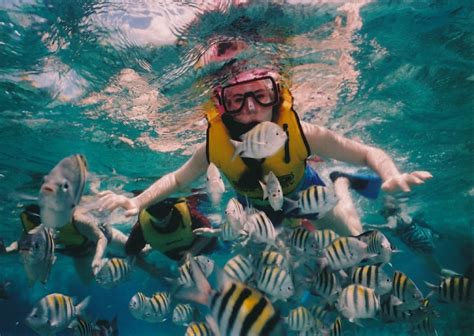 Top 10 Snorkel Places In The Philippines Out Of Town Blog