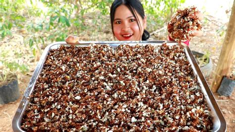 Red Ant Salad Recipe Cooking Ants My Food My Lifestyle ...