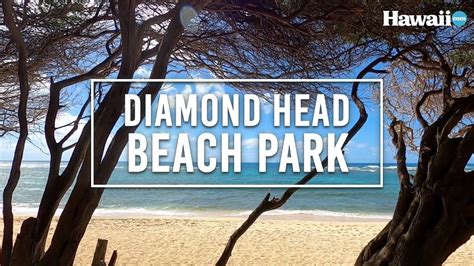 Stunning Views At Diamond Head Beach Youtube