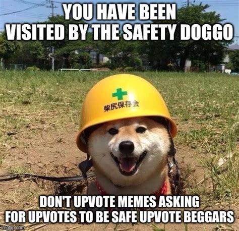 Safety Doggo Imgflip