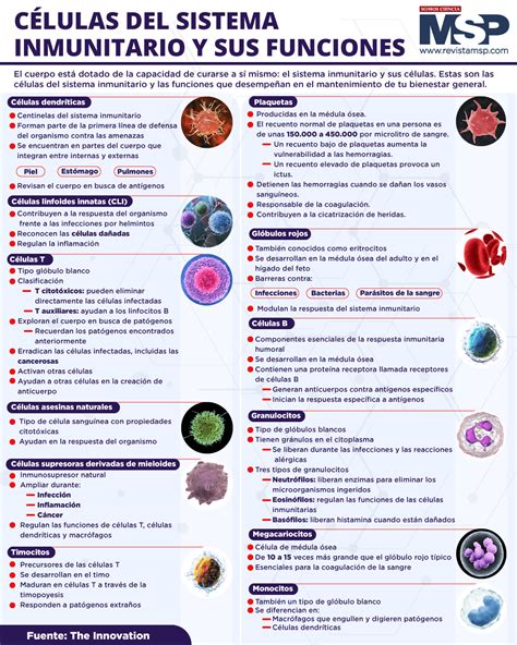 Células Del Sistema Inmunitario Y Sus Funciones Infografía