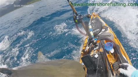 Watch Shark Attacks Fisherman In Kayak Off Coast Of Hawaii Wftv