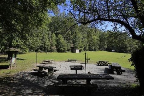 Pisgah National Forest Cove Creek Group Campground Asheville Nc Gps