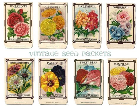 Vintage Flower Seed Packet Collage Sheet Vintage Seed Packets Flower