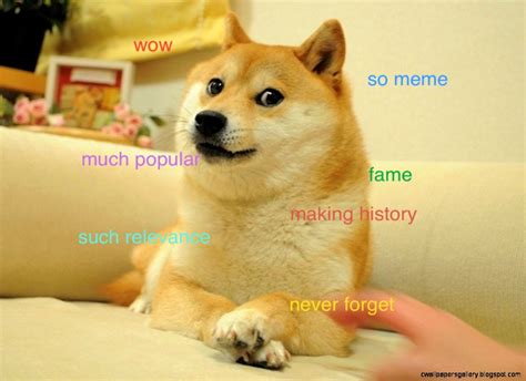 Shibe Doge Wow Wallpapers Gallery