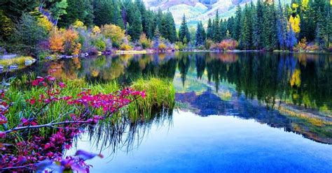 31 Download Gambar Pemandangan Alam - Download 480 Background
