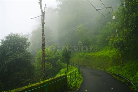 Foggy Mountain Road Stock Photo Image Of Fluffy High 74748196