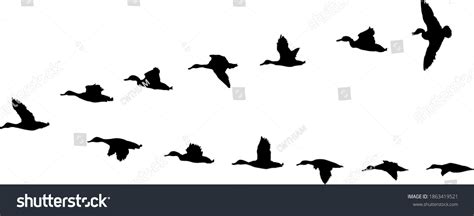 Vector Flock Duck Migrating Stock Vector Royalty Free