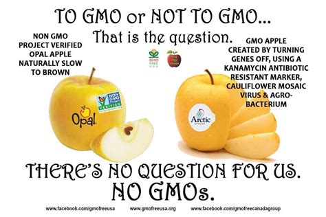 Apples And Gmos Opal Apples Earth Science Gmos