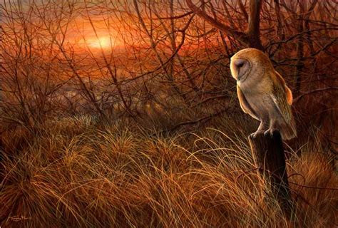 Jeremy Paul Wildlife Artist Wildlife Art Paintings Art Prints