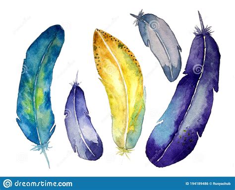 Multicolored Feathers Are Painted With Watercolors On White Paper