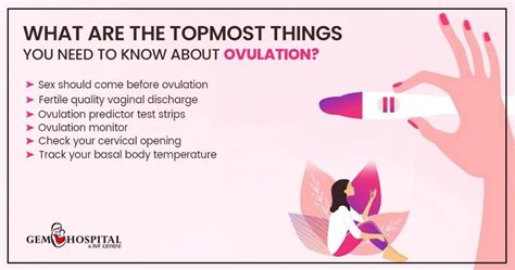 How Can Ovulation Disorder Affect Infertility How To Treat It