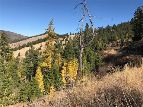 Buy from local sellers or list your property today. Missoula Montana Real Estate - MT Homes, Land and Ranches ...